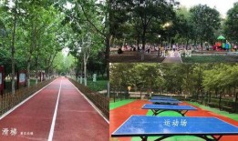 吃瓜网站51 长治体育公园跑道一圈多少米,揭秘51长治体育公园跑道一圈长度之谜